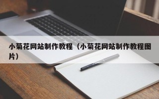 厦门小菊花网站制作教程（小菊花网站制作教程图片）